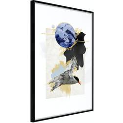 Arkiio Affisch Antarctic Tern [Poster] 20x30 Poster